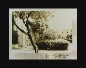 图说四十年 我市文化活动日益丰富，文艺创作亮点频现